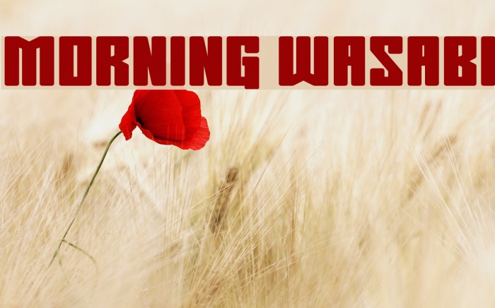 Morning Wasabi Font examples