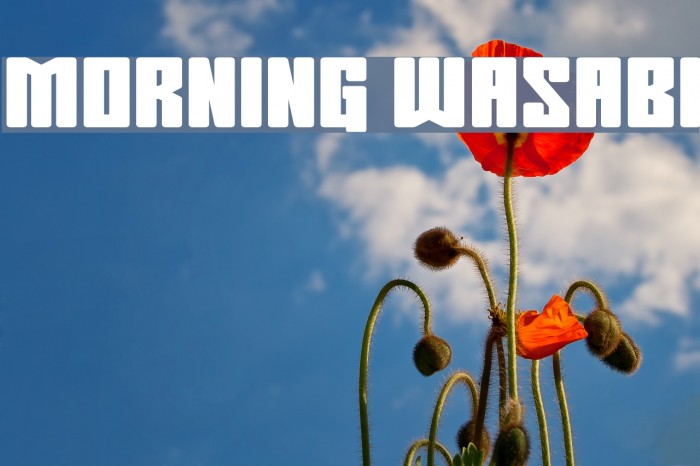 Morning Wasabi Font examples