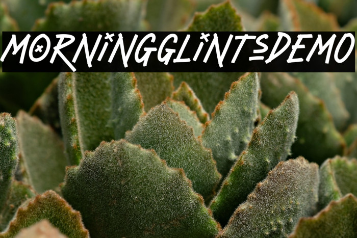 MorningGlintsDEMO Example 1