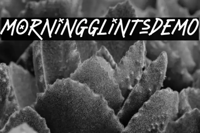 MorningGlintsDEMO Example 1