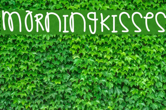 MorningKisses Example 2