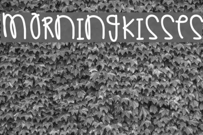 MorningKisses Font examples