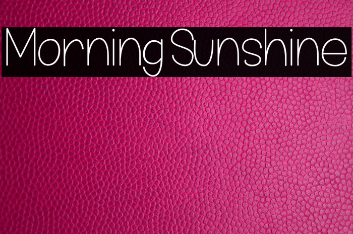 MorningSunshine Example 1