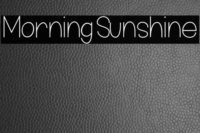 MorningSunshine  examples