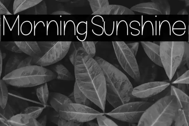 MorningSunshine  examples