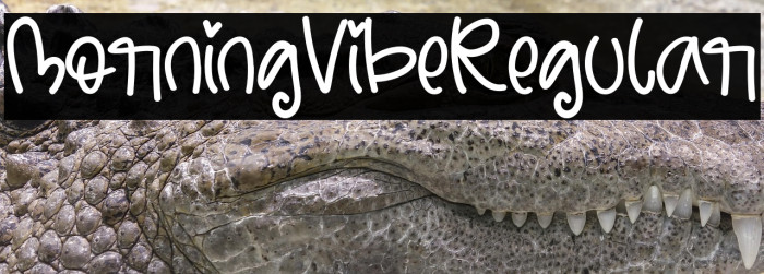 MorningVibeRegular Example 1