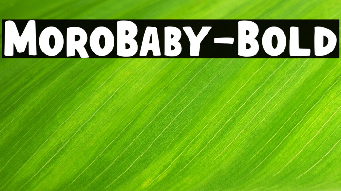 MoroBaby-Bold Example 3
