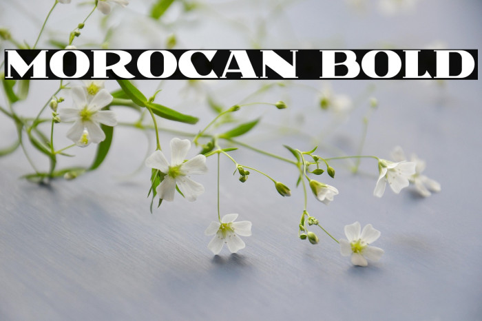 Morocan Bold Example 2