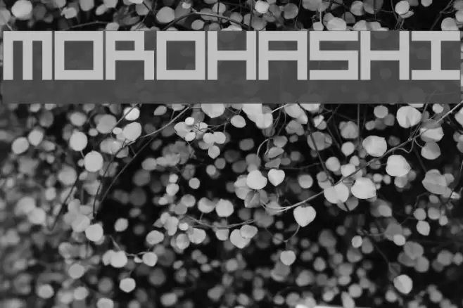 Morohashi Font examples