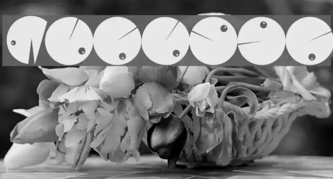 Morphes Font examples