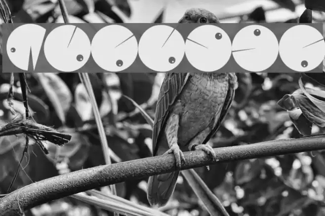 Morphes Font examples