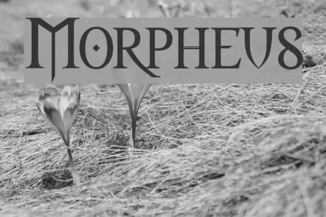 Morpheus Font examples