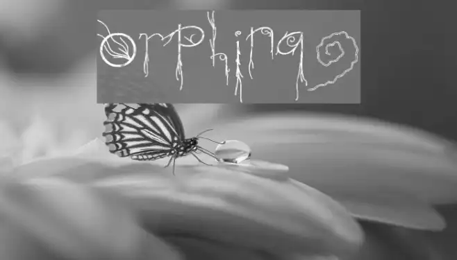 Morphina2 Example 2