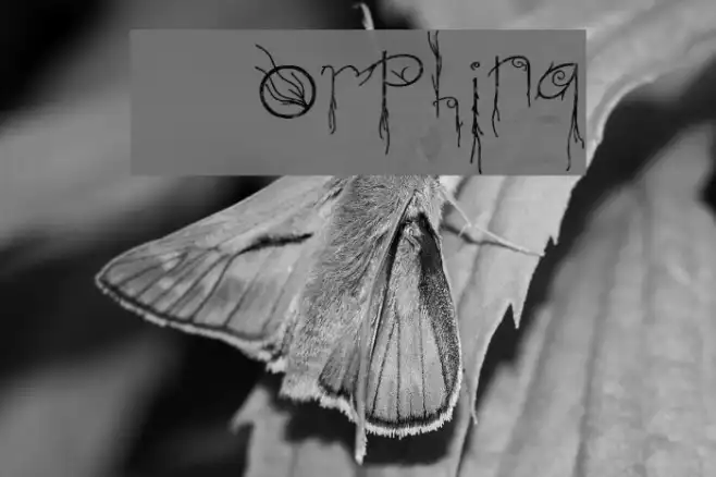 Morphina Example 2