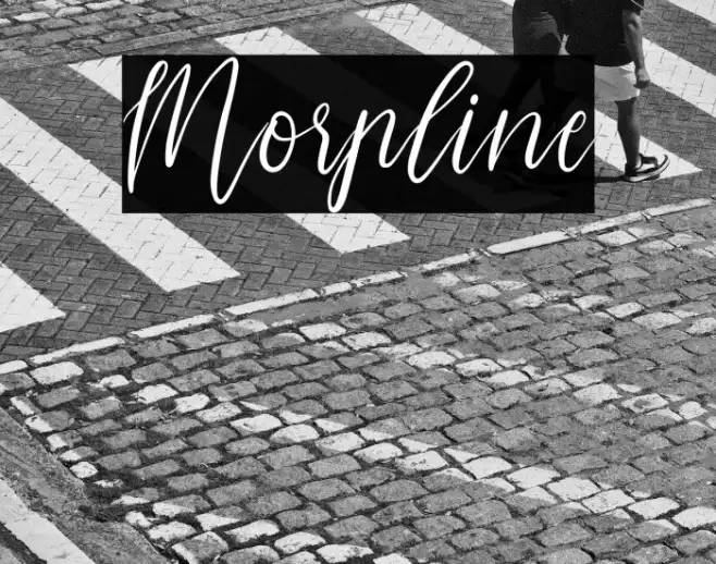Morpline Example 1