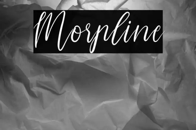 Morpline Example 2