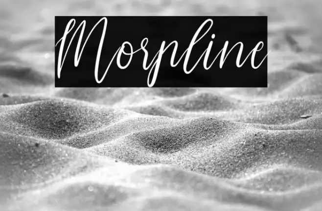 Morpline Example 3