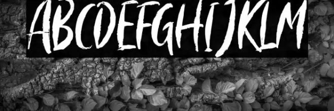 MorrilesScriptDEMO Font examples