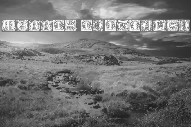 Morris Initialen Font examples