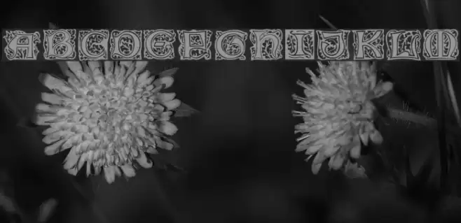 Morris Initials Шрифта examples