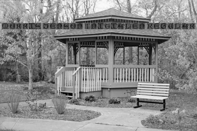 Morris Jenson Initialen Regular Font examples