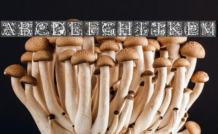 Morris Less Negative Example 1