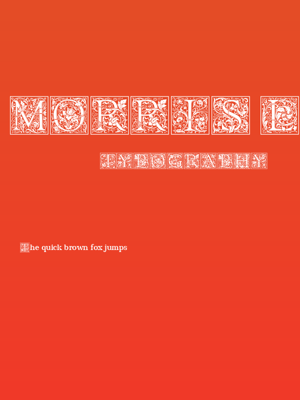 Morris Less Negative Poster