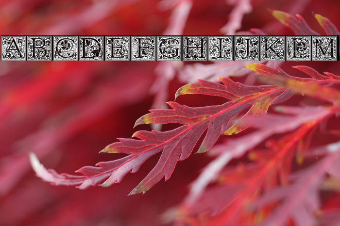 Morris Less Example 1