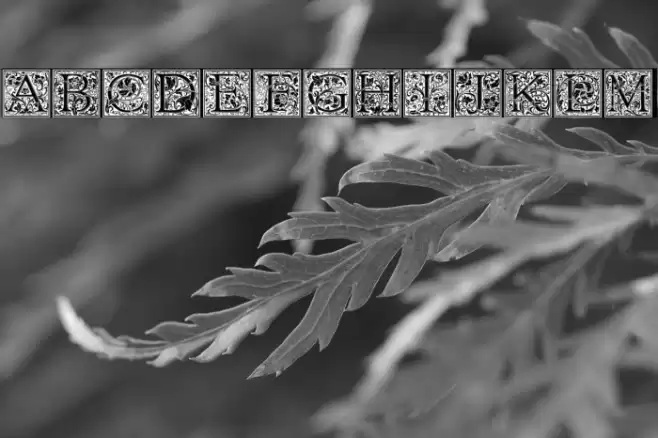 Morris Less 字体 examples