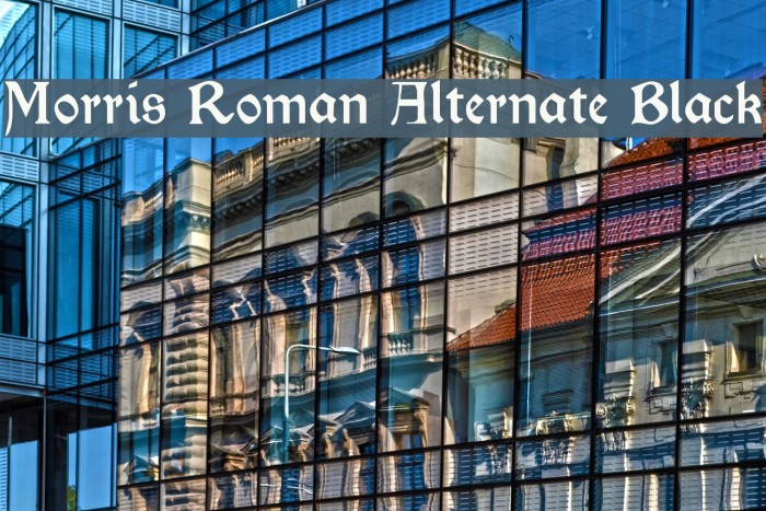 Morris Roman Alternate Black Font examples