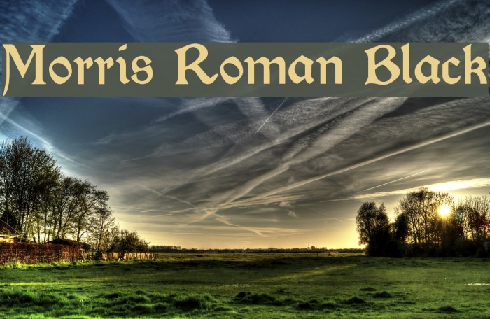 Morris Roman Black Font examples