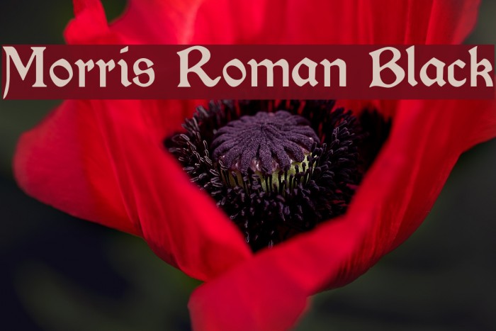Morris Roman Black Font examples