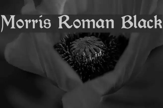 Morris Roman Black Example 2