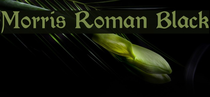 Morris Roman Black Font examples