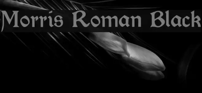 Morris Roman Black Example 3