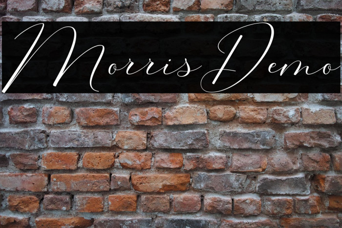 MorrisDemo Example 1