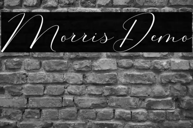 MorrisDemo Example 1