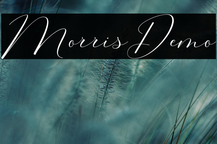 MorrisDemo Example 2