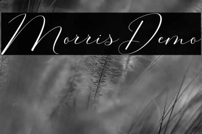 MorrisDemo Example 2