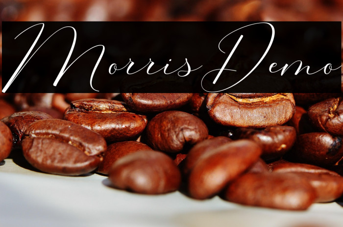 MorrisDemo Example 3