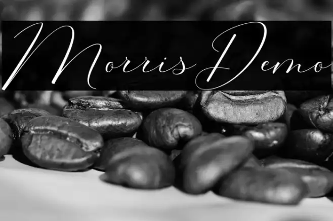MorrisDemo Example 3