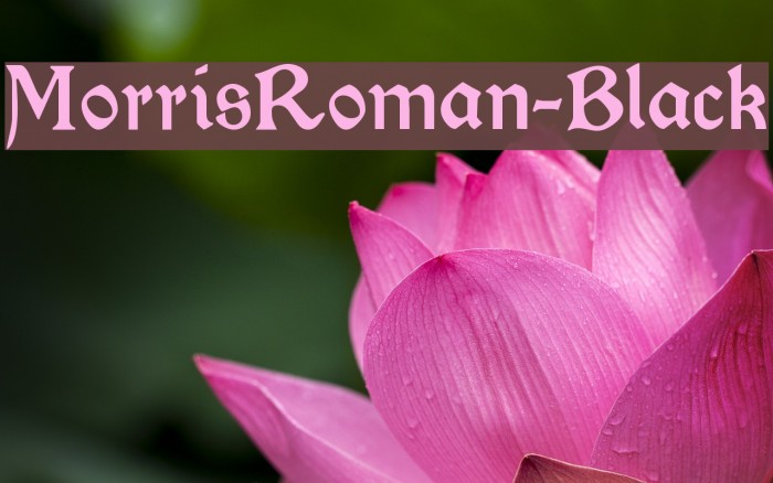 MorrisRoman-Black フォント examples
