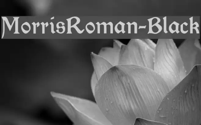 MorrisRoman-Black Font examples