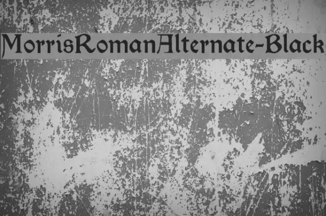 MorrisRomanAlternate-Black フォント examples