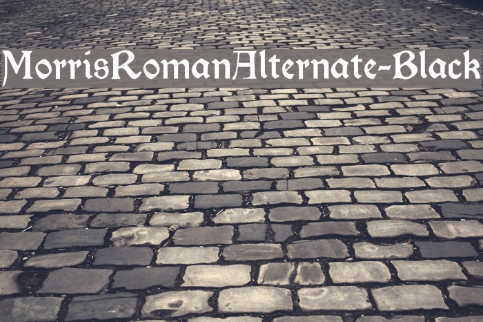 MorrisRomanAlternate-Black Font examples