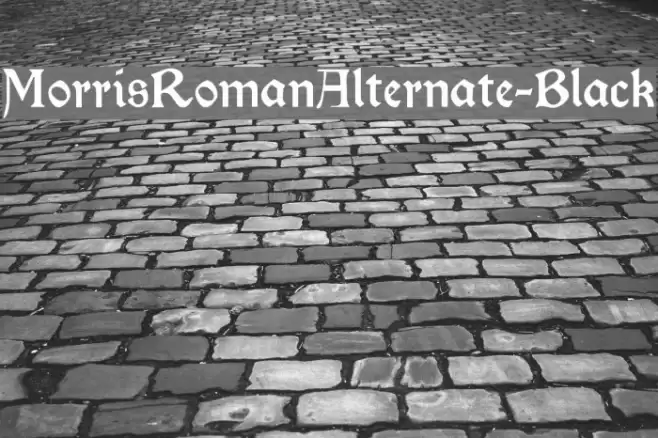 MorrisRomanAlternate-Black フォント examples