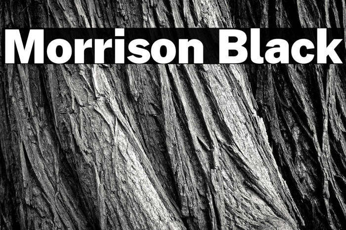 Morrison Black Example 1