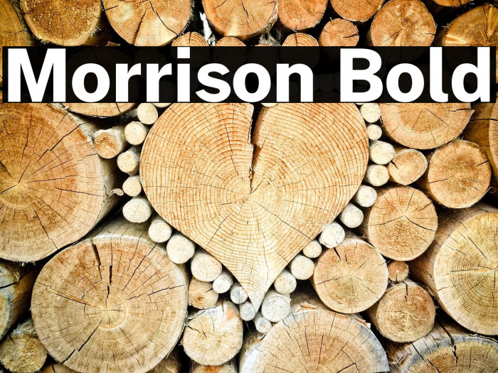 Morrison Bold Example 1