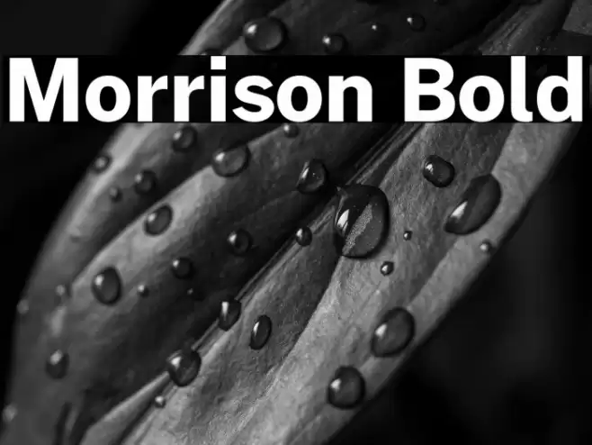 Morrison Bold Font examples