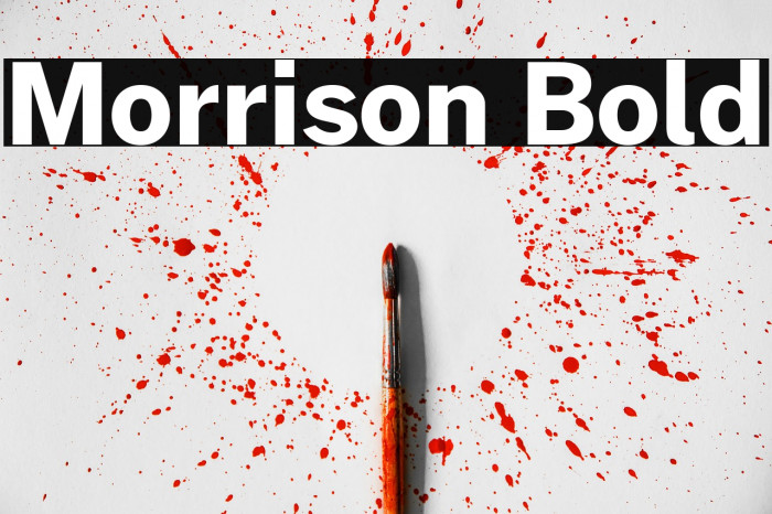 Morrison Bold Example 3